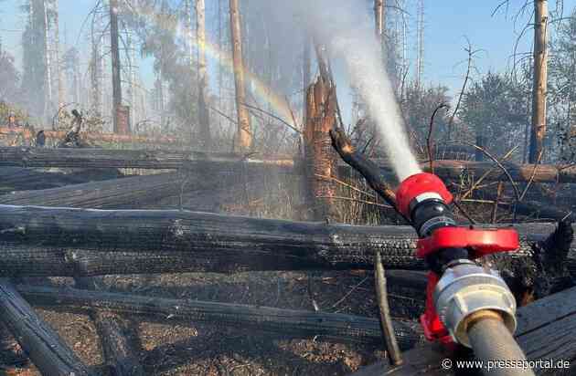 FW Kreis Soest: Zweite Folgemeldung zum Waldbrand in Möhnesee: Brand unter Kontrolle - Löscharbeiten dauern an