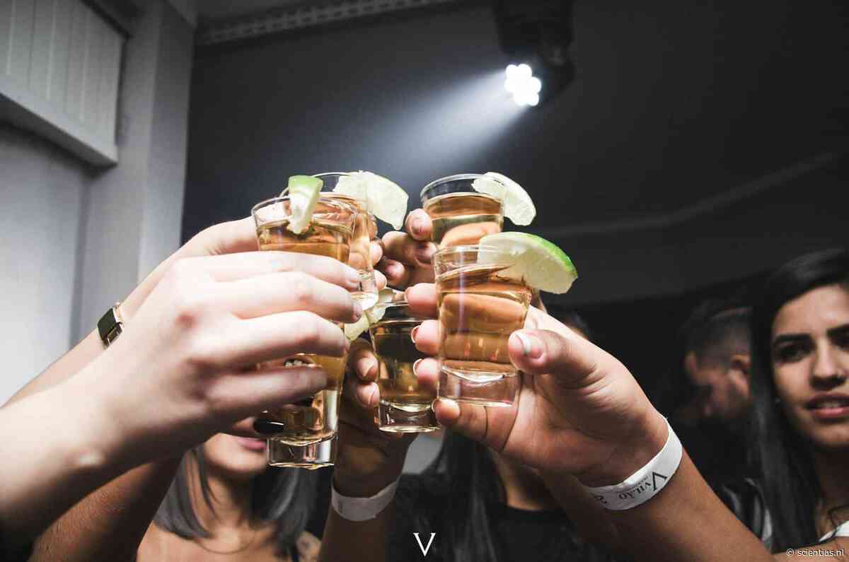 Bizar: slechts een paar honderd neuronen zorgen ervoor dat jij niet te veel drinkt