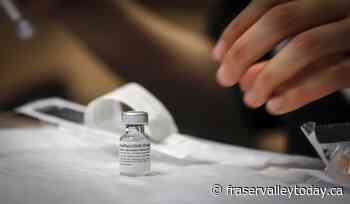 CP NewsAlert: Albertans to start paying for COVID-19 shots this fall