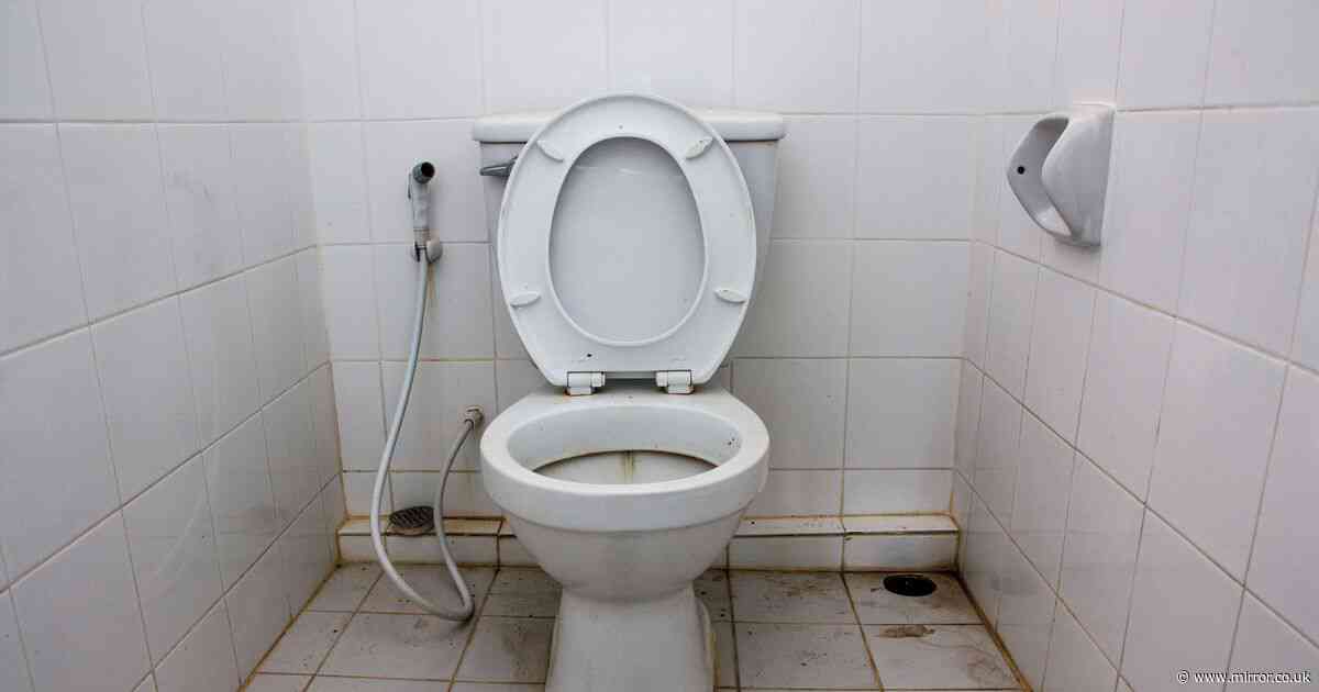Students brand school toilets 'horror movie' as kids 'wet themselves instead'