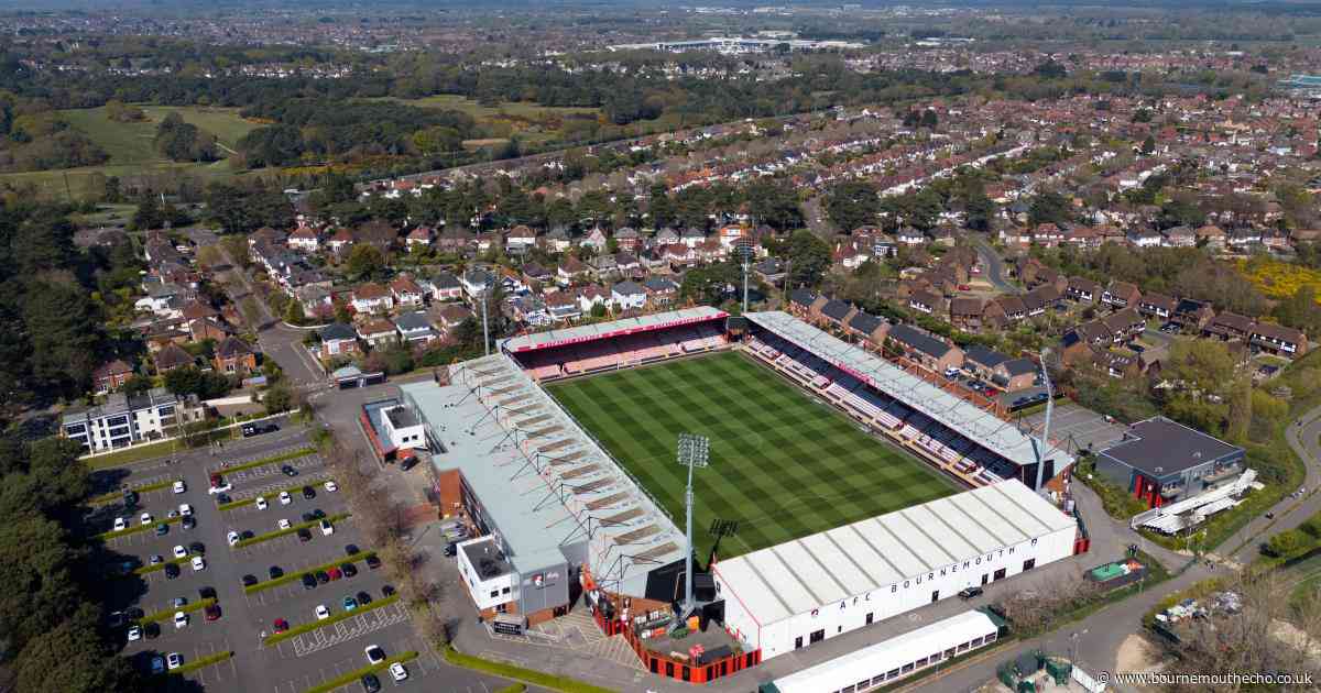 Increasing capacity quickly the fans' priority in Vitality Stadium redevelopment