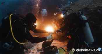 ‘An epic kind of proposal’: B.C. man pops the question from Galapagos seafloor