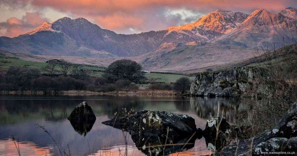 'No trees to pee behind' The most baffling Tripadvisor reviews of Wales' best attractions
