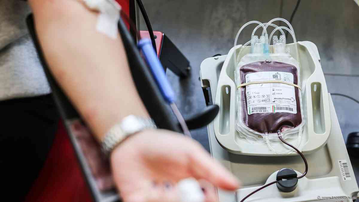 Blutspendetag: Blutspenden kann auch dem Spender nützen