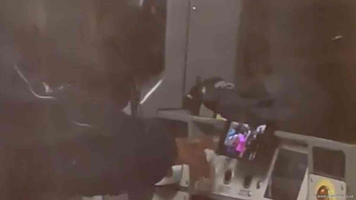 Moment Tube driver is caught KNITTING and watching videos on his phone while driving commuters
