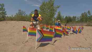 Hanlan's Beach is getting a bubble zone to keep away motorized boats and vehicles
