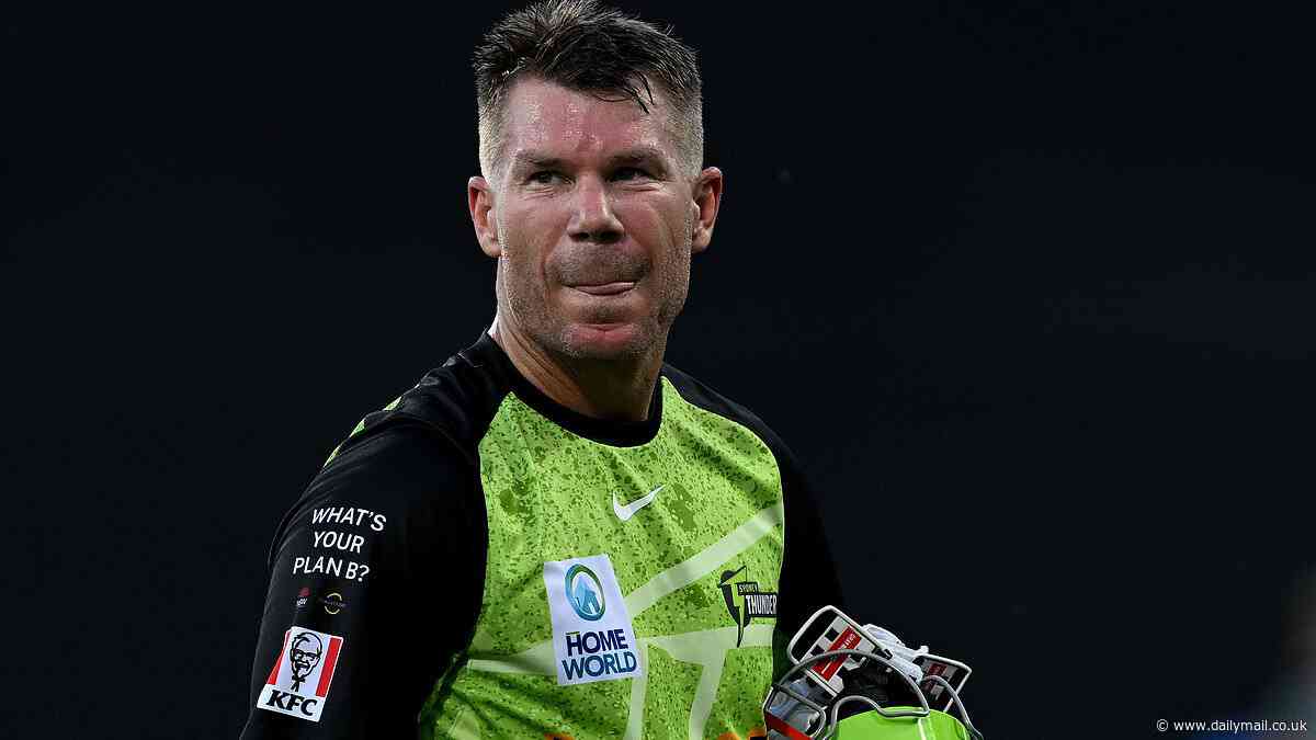 Aussie cricket star David Warner has vowed to NEVER fly with Air India again after plane crash disaster
