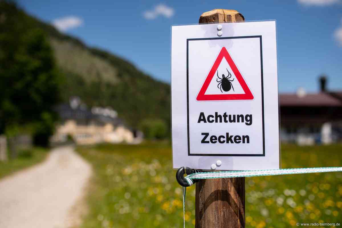 Mehr Zecken nach mildem Winter?