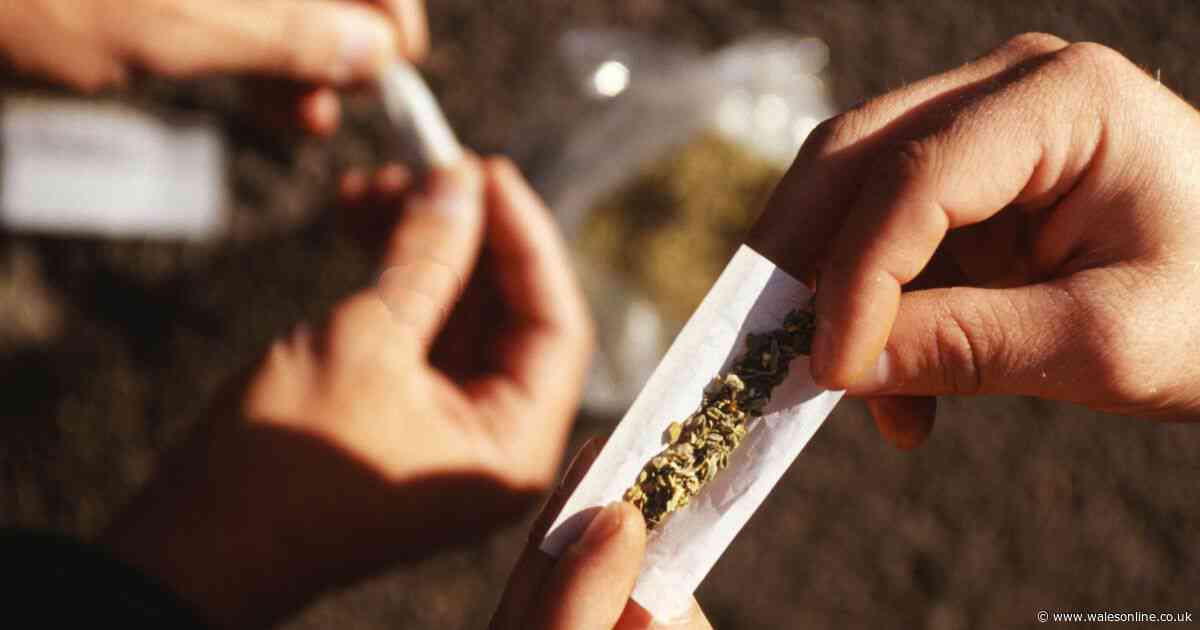 Absolute idiot caught dealing cannabis two times after police raided his home
