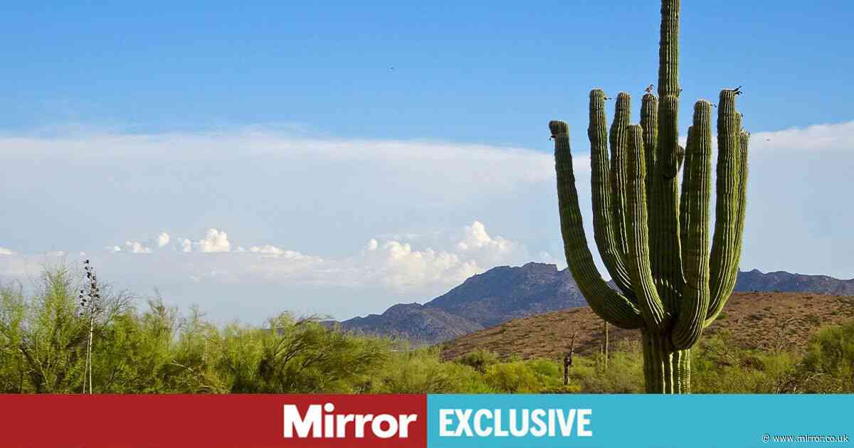 ‘I went to Arizona expecting a week of wellness but this activity made my heart race’