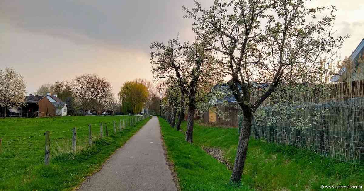 Shoppen bij Moeder Natuur: hier in Arnhem kun je wildplukken