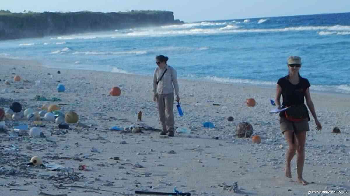 Albanese government commits to ambitious plan to tackle plastic waste in Aussie waters