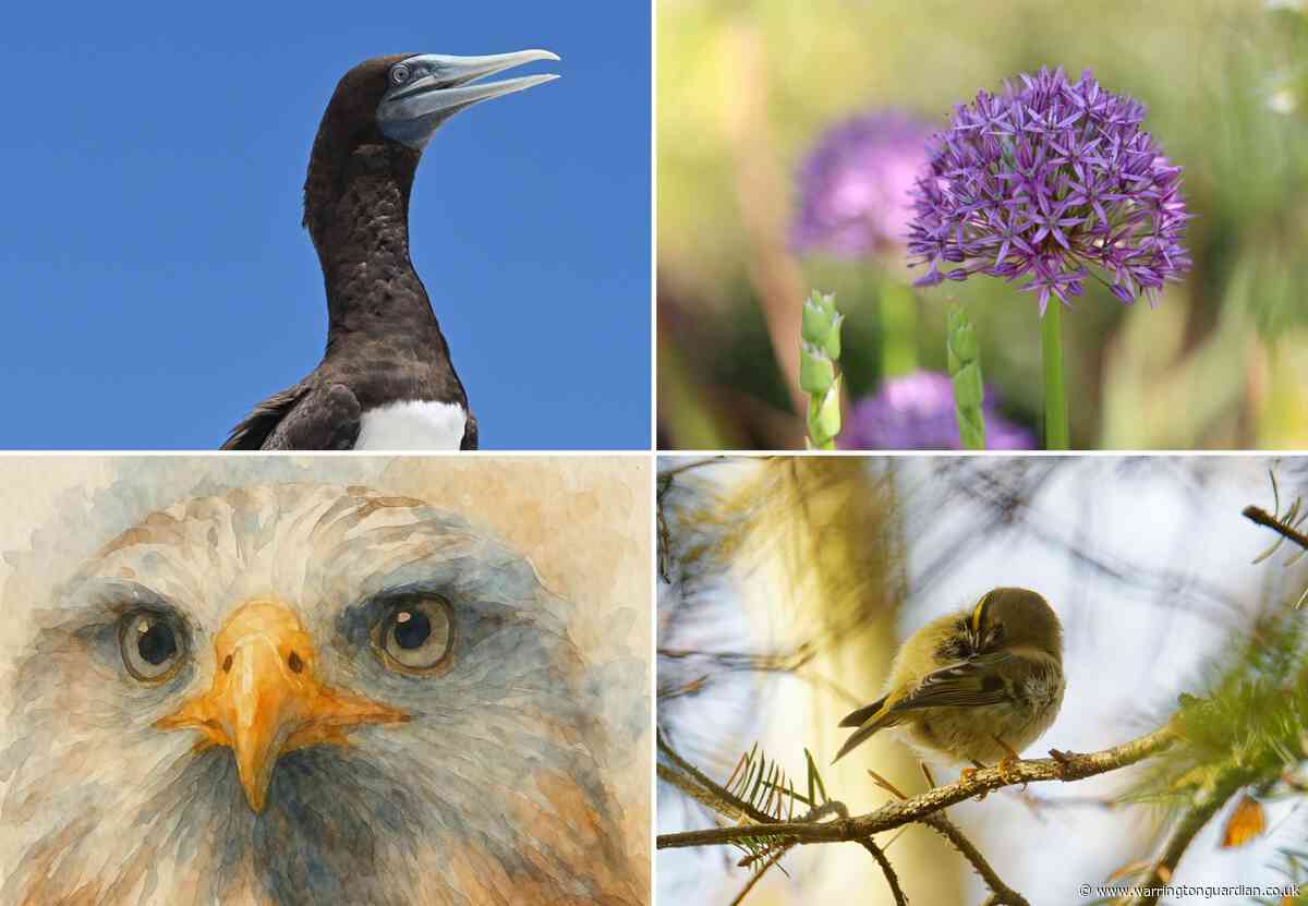 Photography showcase set to open at Padgate library and town centre The Gateway