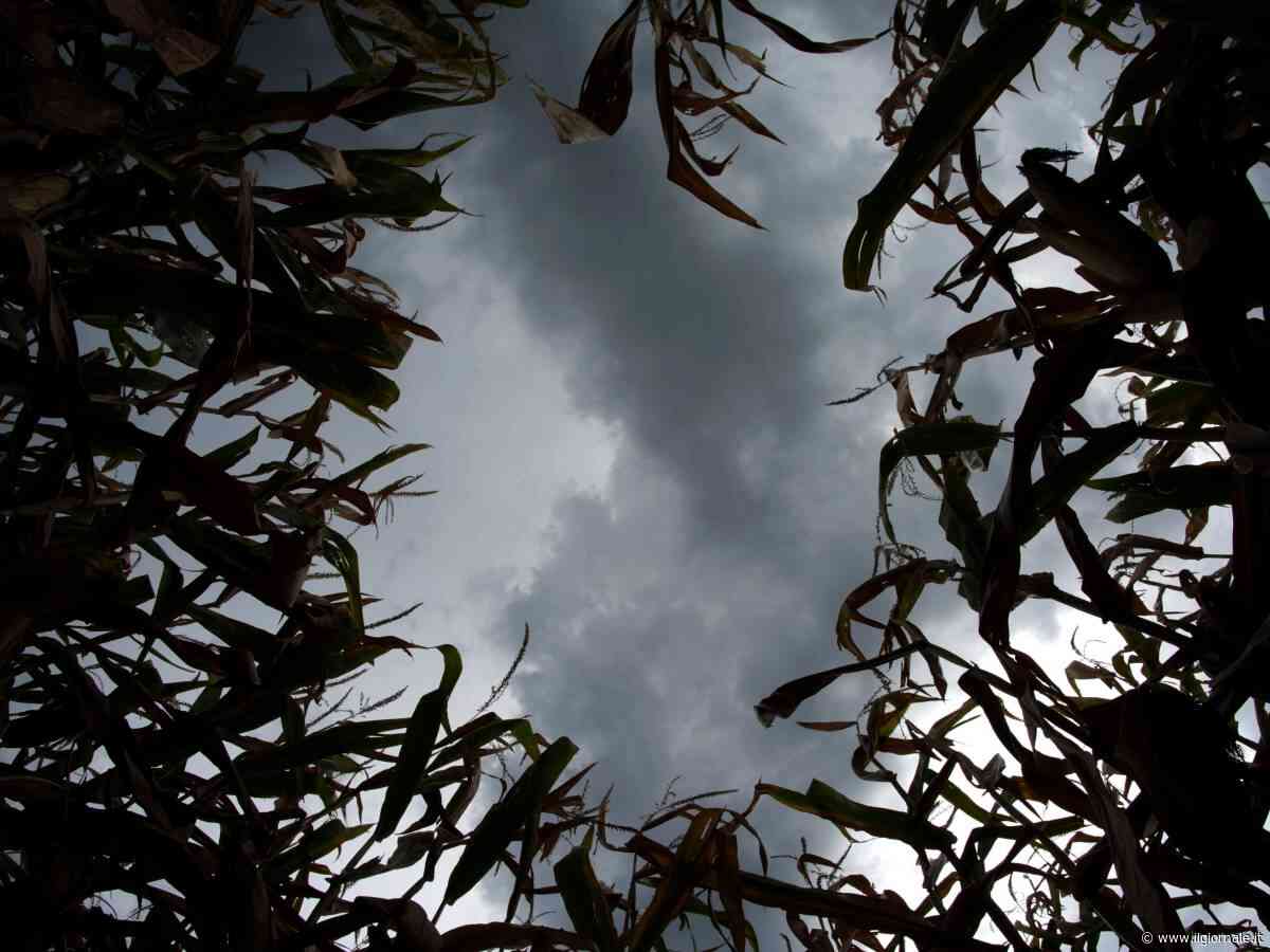 Braccio di ferro tra anticiclone e temporali: cosa accadrà da lunedì