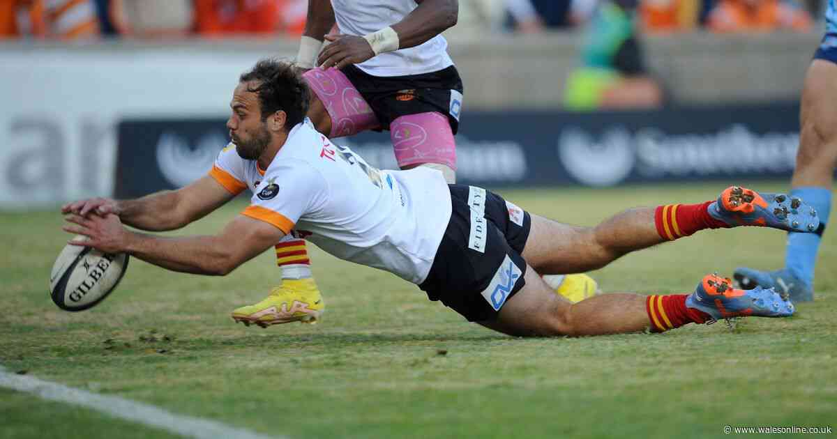 Today's rugby news as Wales duo go for glory and South African signs for Welsh region