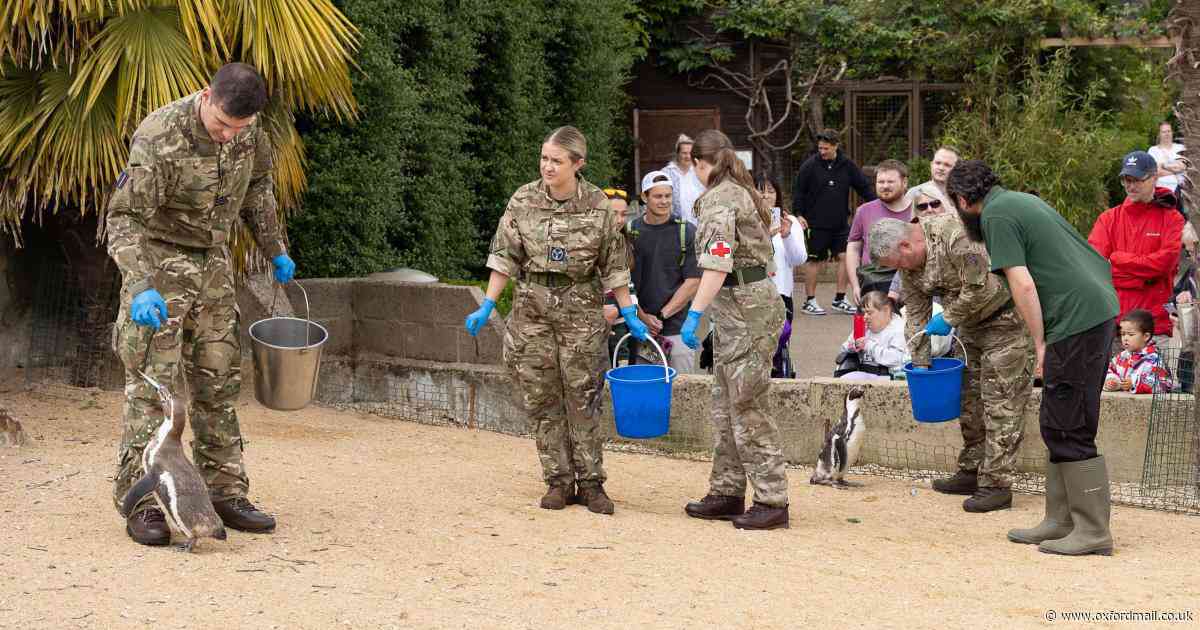 RAF Brize Norton personnel help out at wildlife park