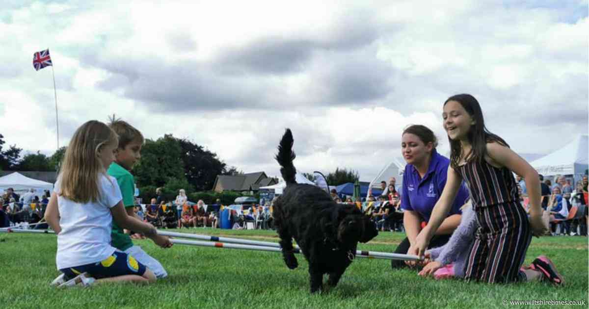 New dog show coming to Wiltshire with 12 'waggiest tail' classes