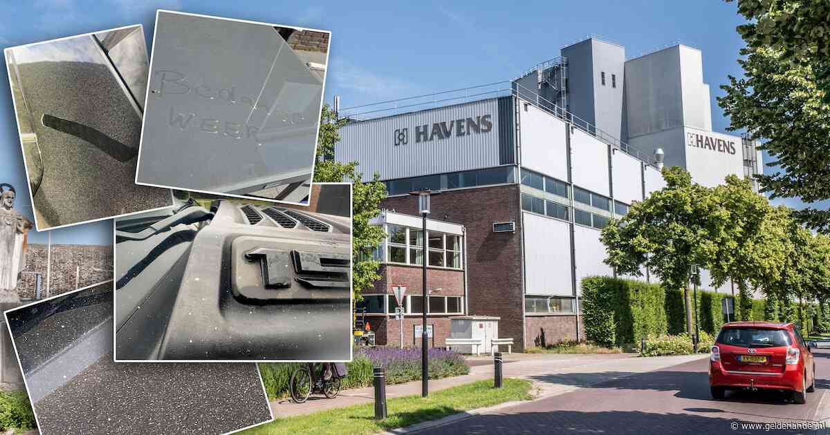 Stank en vieze zonnepanelen rondom fabriek: hoe erg is het hier? 'Slaapkamer ruikt soms naar voer’