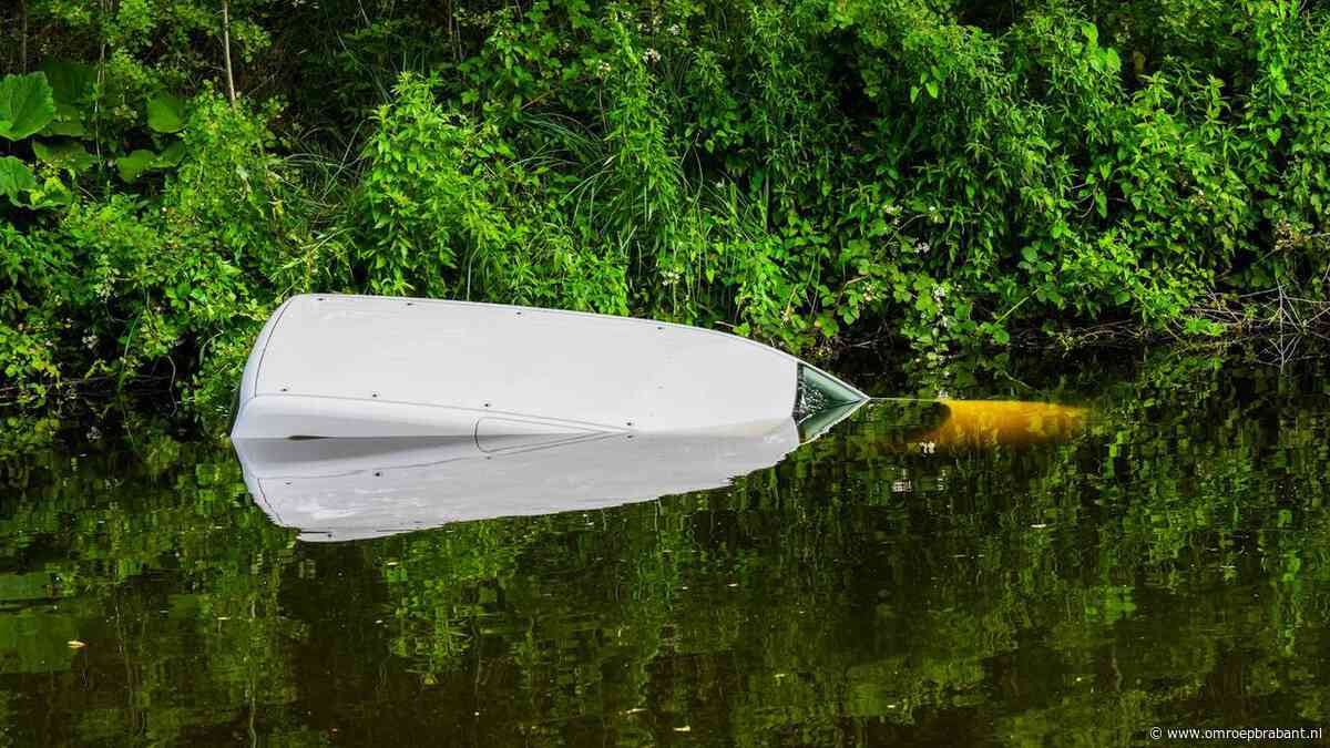 Auto schuift het water in terwijl man wandelt met hond