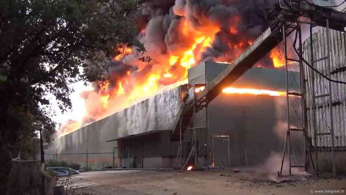 50.000 kippen omgekomen door grote brand in Limburgse Heibloem