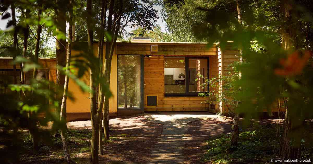 Center Parcs reviewed - a weekend as relaxing or exciting as you want it to be
