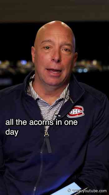 What kind of animal is Kent Hughes? 🐿️ #NHL #Shorts
