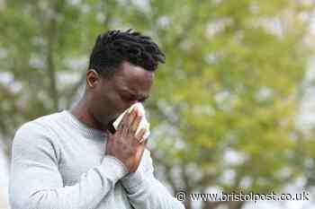 Hay fever tablet 'fast heart rate and dizziness' warning and which are best