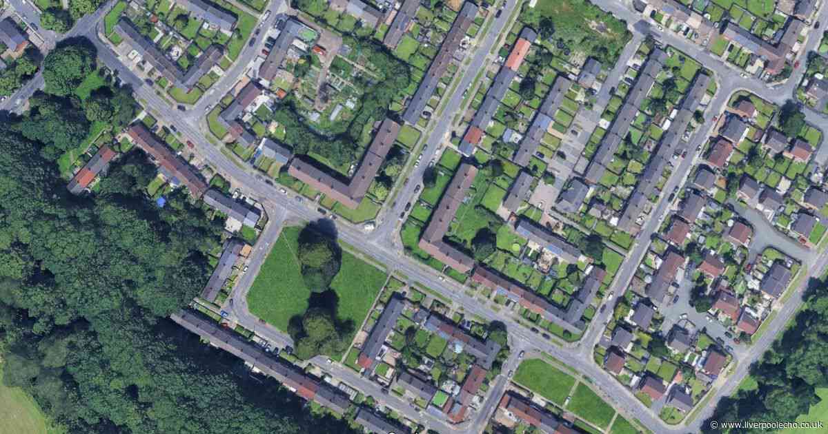 Man stabbed in flat as police launch investigation