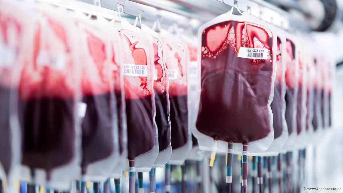 Wie japanische Forscher künstliches Blut entwickeln