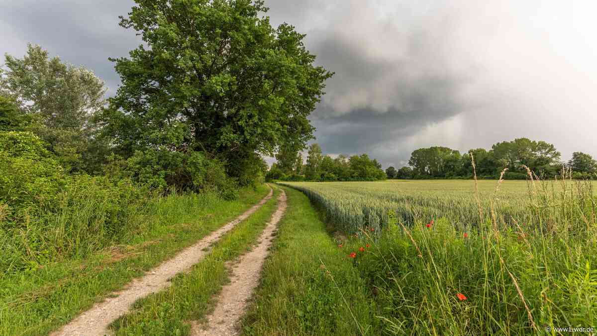 NRW-Wetter: Am Samstag wieder heiß - Gewitter drohen