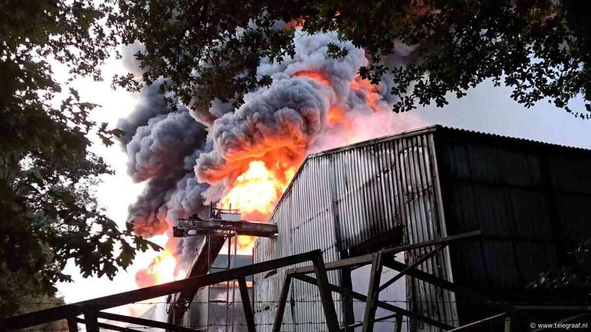 Boer John uit Boer zoekt vrouw verslagen na dood 50.000 kippen bij grote stalbrand: ’Gelukkig nog 200.000 kunnen redden’