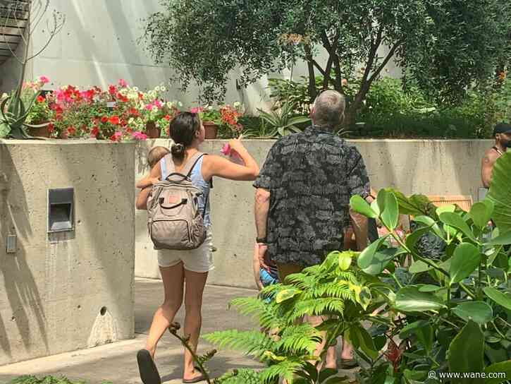 Grow memories this Father's Day at the Foellinger-Freimann Botanical Conservatory Father's Day in the Garden