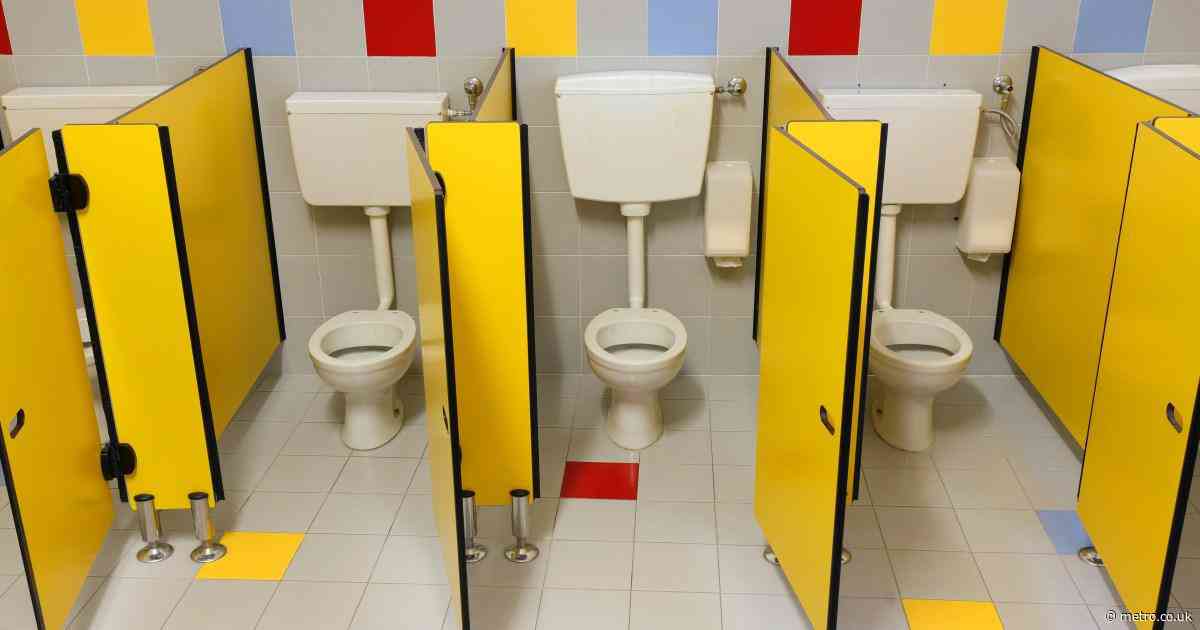 Children asking to miss school or wetting themselves over ‘horror movie’ toilets