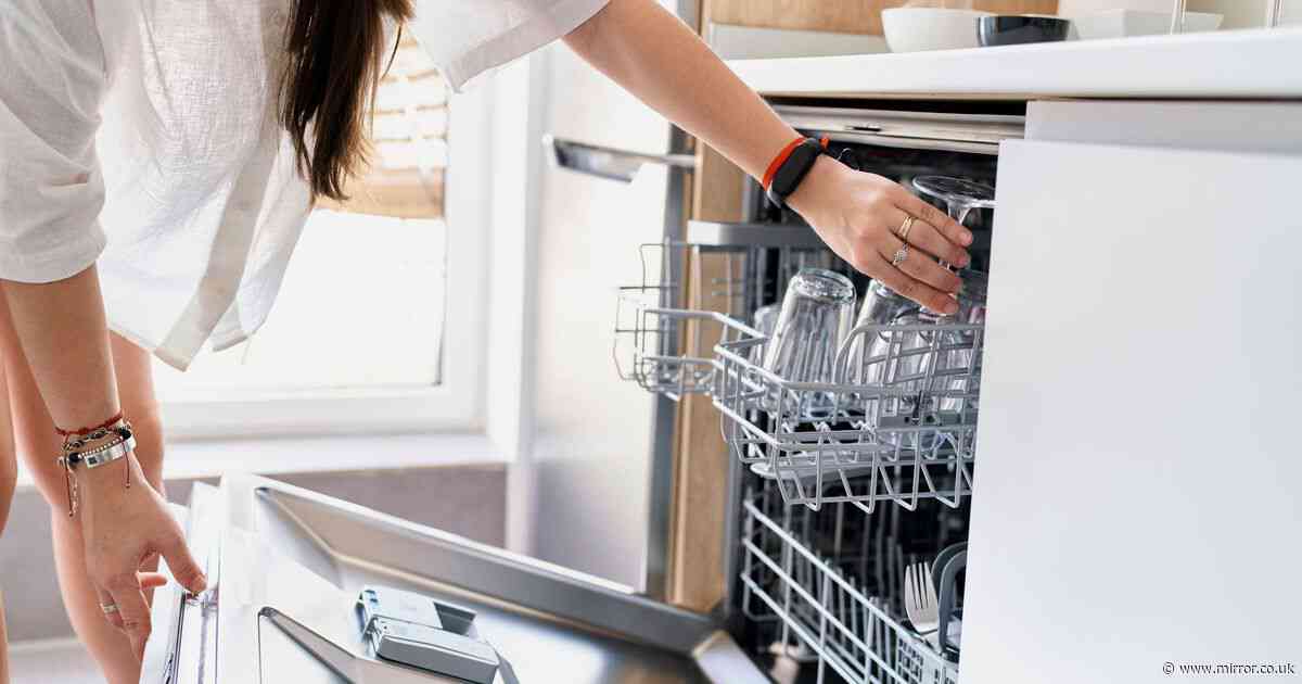 Dishwasher user finds little-known 'trick' to help you clean wine glasses with ease