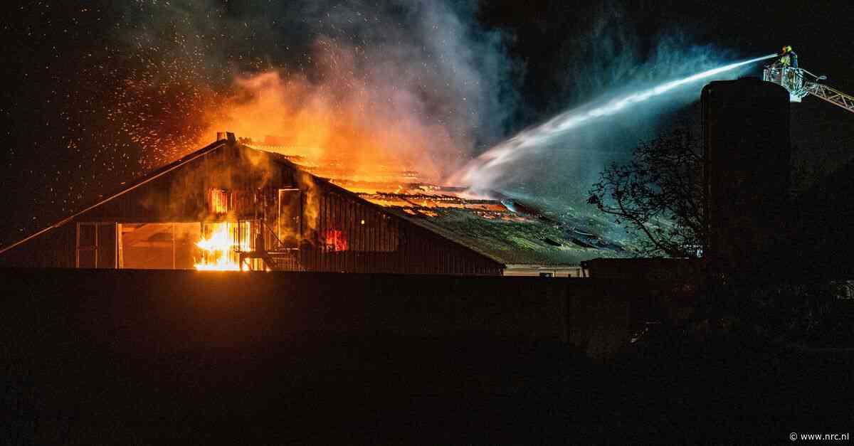 Grote brand bij Limburgse kippenhouderij, aantal stalbranden blijft hoog