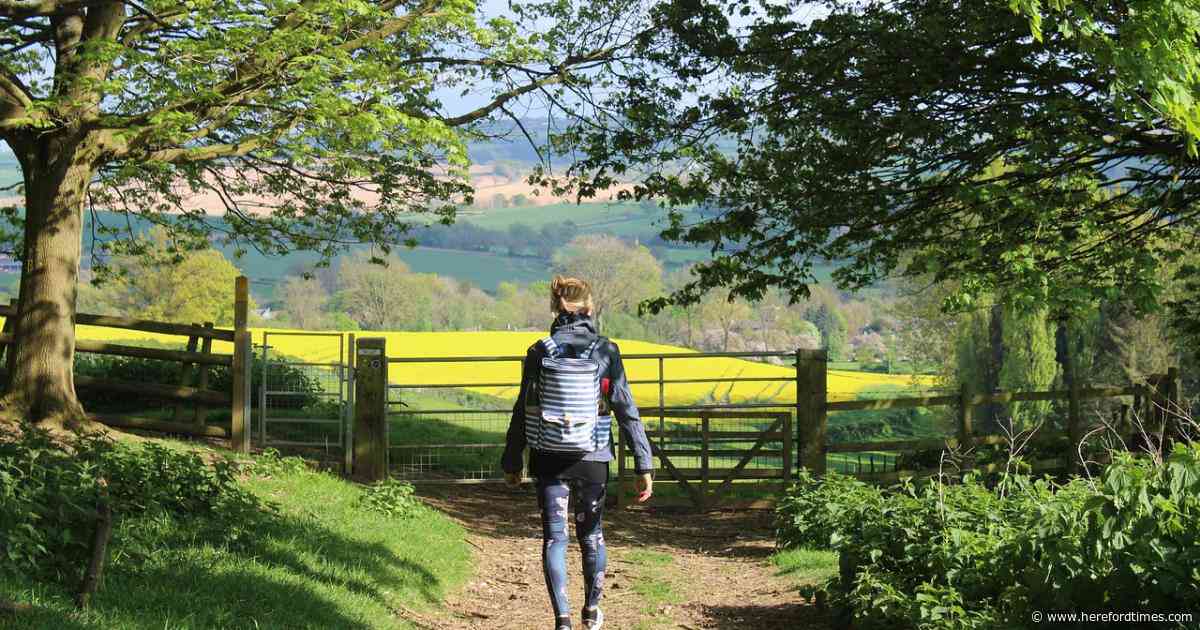 No alternative routes as damage closes footpaths