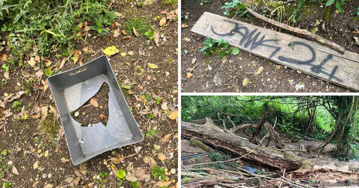 Farm 'deeply saddened' after work of children and volunteers vandalised
