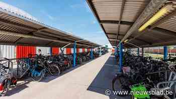 Onverbeterlijke fietsendief opgepakt aan station: “Hij had kniptangen en zestien fietssleuteltjes op zak”