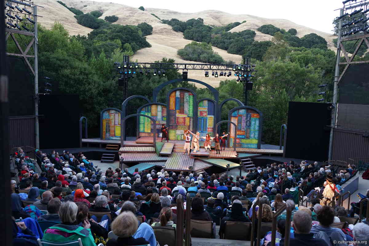 Are Bay Area Arts Organizations Sustainable? Some Data…