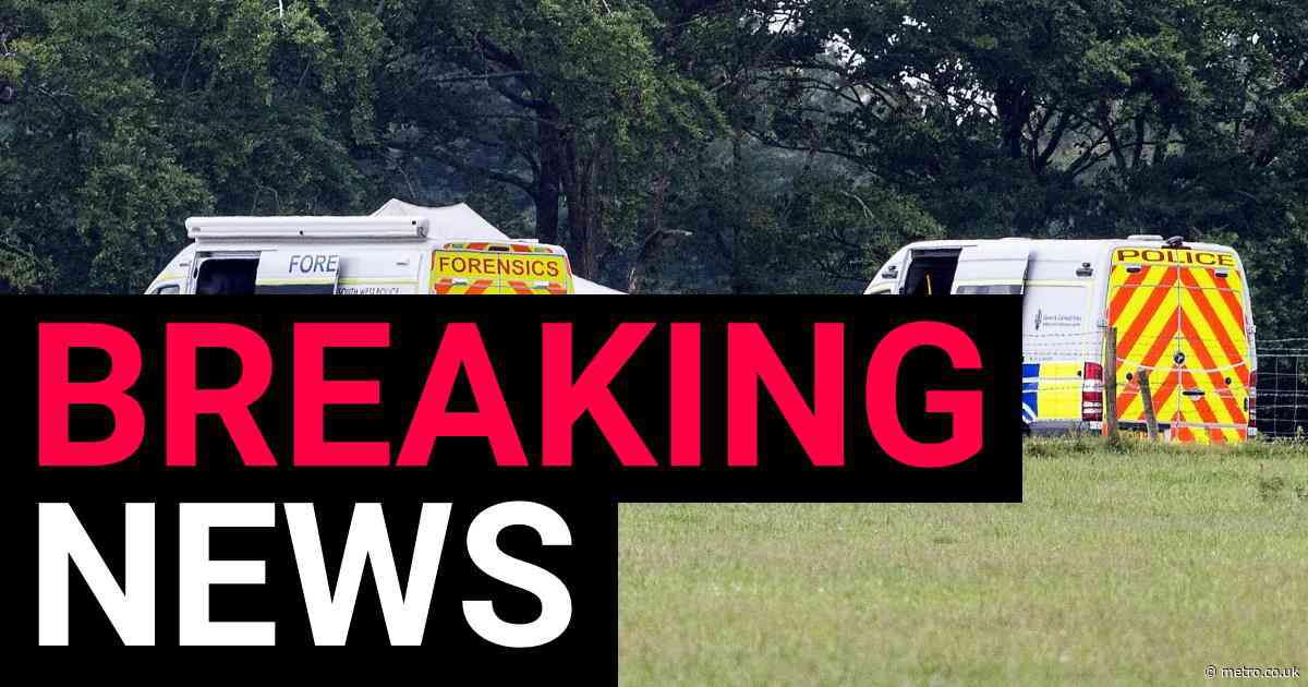 Two skydivers die after tandem jump with investigation launched into fall