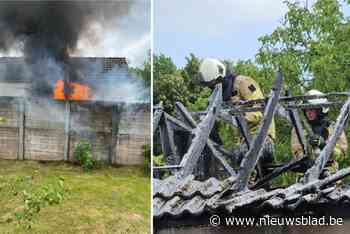 Composthoop veroorzaakt brand: dak van tuinhuis volledig uitgebrand