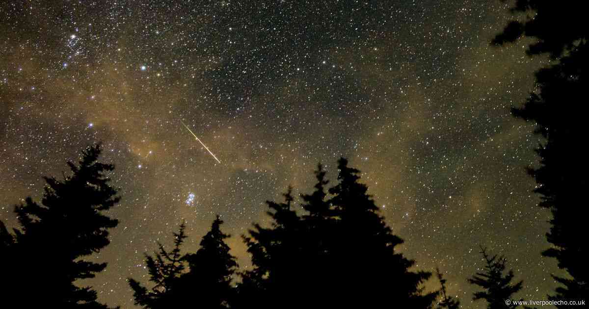 Full list of meteor showers visible from the UK in 2025 including 'best' of the year