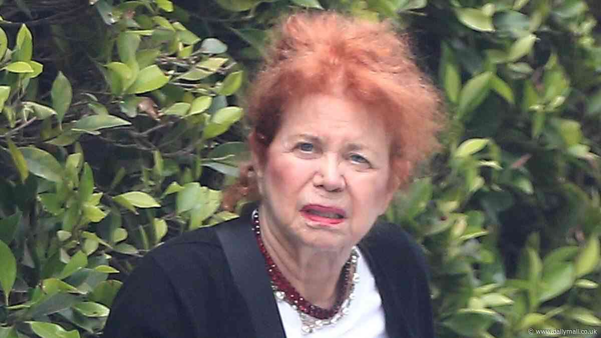 90s actress who starred in two classic comedies steps out in LA on rare outing... can you guess who it is?