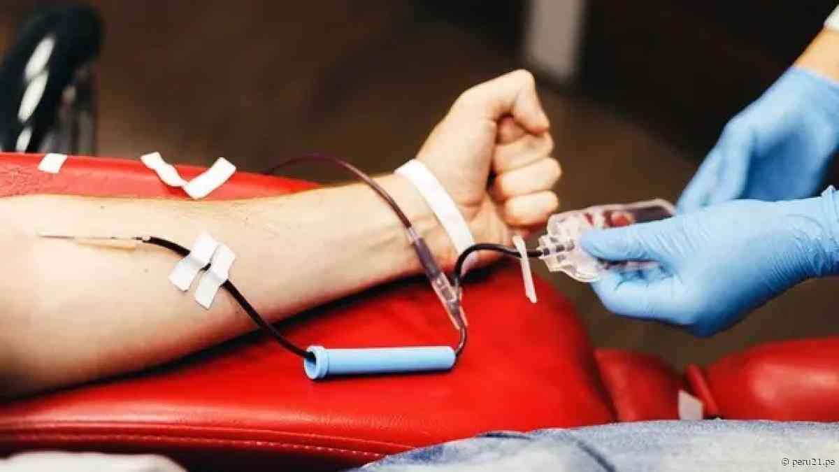 Día Mundial del Donante: ¿Quieres donar sangre y no sabes cómo? Esto es lo que necesitas saber