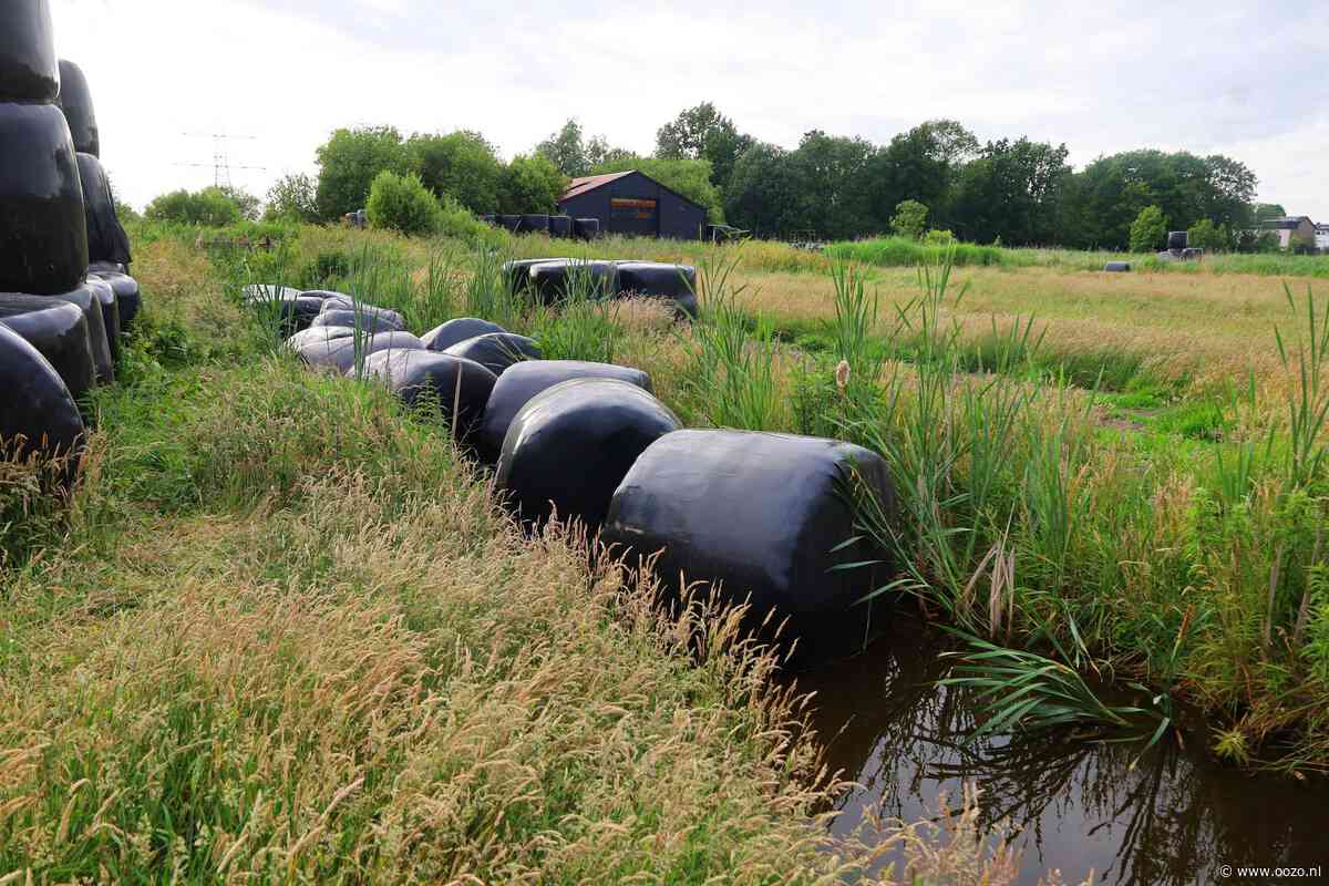 Jongetjes stichten brand in Landsmeer