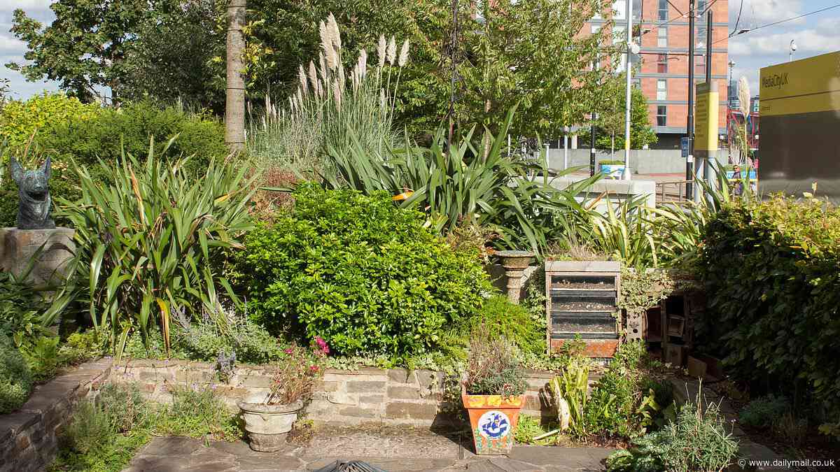 Look at the state of it! Anger of Blue Peter garden creator as he returns to find an overgrown mess