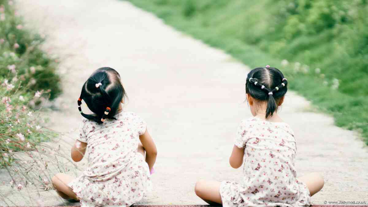 Daughters Of The Bamboo Grove by Barbara Demick: Twins wrenched apart by the Chinese government... with one sold to America