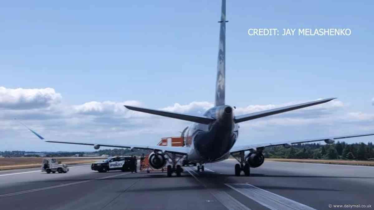 Alaska Airlines passenger causes ground stop at Seattle Airport after making 'direct threat' to plane