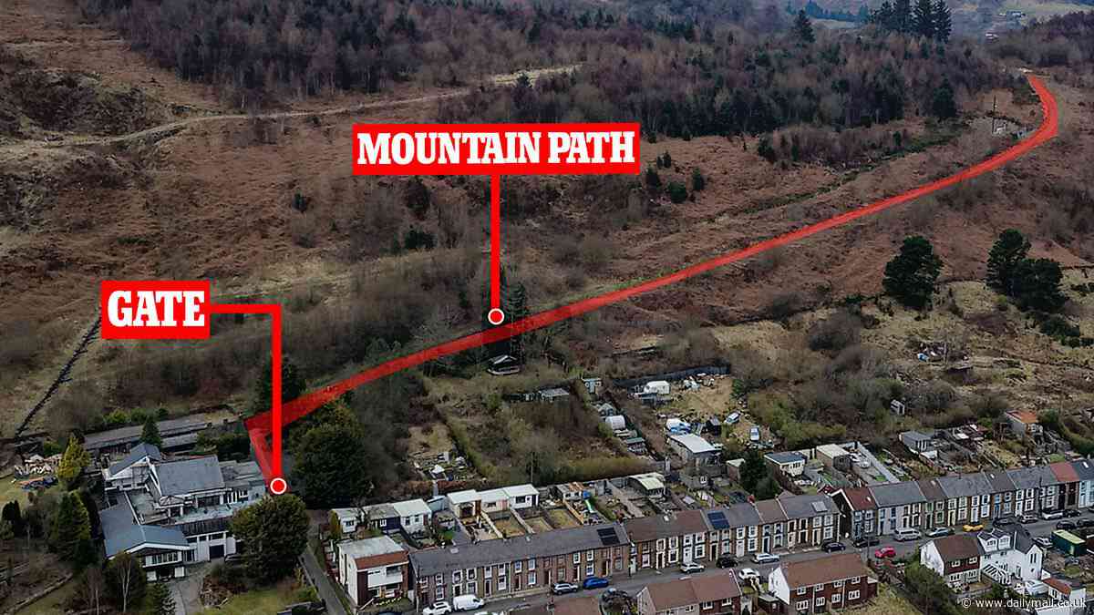 A gate too far! Couple who lost bitter war against neighbours over Bond-villain mansion finally remove illegal barrier after failing in their attempt to create a new access route