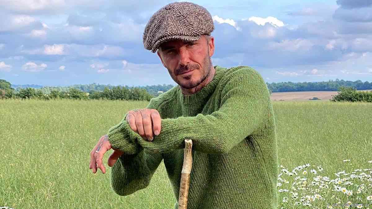 Sir David's VERY strong connection with King Charles and how he's defied merciless ribbing from close friends and even his wife to revel in his new found status as Lord Becks of Great Tew